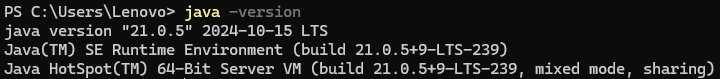 image-20241125203211778