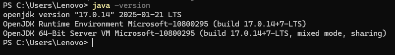image-20250216194237399