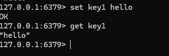 image-20250220213128951